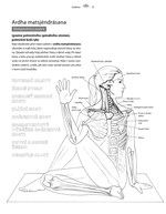 a101b0n0003706_joga-anatomicky-vybarvova