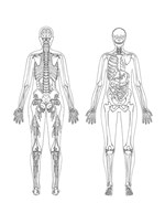 a101b0n0003706_joga-anatomicky-vybarvova