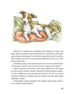 a101e0n0003642_klasicke-pohadky-pro-deti