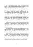 A101C0N0005016_Denik-bezdomovce_list3.jp