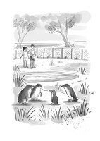 A101C0N0001278_zachraneny-tucnace-list4.