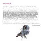 A101V0F0005417_ten-vanocni-cas-list-09.j