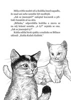 0078824562_a101e0n0001615_vanocni-kotatk