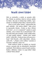 0078824562_a101e0n0001615_vanocni-kotatk