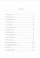 0086450808_9788090873728_Okamziky_strana