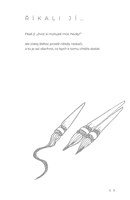 A101I0F0005712_vsechno-co-jsem-zapomnela