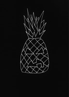 A101E0N0005581_milos-knor-k(n)oreni-zivo