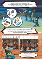 A101C0N0006173_LEGO_Ninjag_Nyiny_schopno