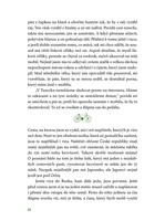 A101C0N0002565_tomik-opet-na-cestach_lis