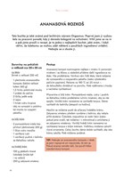 a101c0n0004638_bude-dneska-buchta-list3.