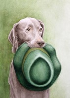 A101I0F0004894_salvej-a-merunka-list4.jp