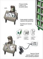 0088777234_9788075582225_Polinkovo-muzeu