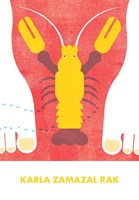 0088814930_9788075582294_tam-a-zpet_list