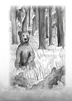 A101I0F0006627_bejvavalo-na-sumave-priro