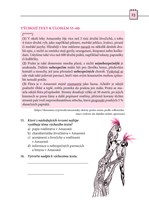 A101E0N0003087_Porozumeni-textu-expres_l