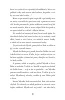 b102l10000520_burka-a-tajomna-jazdkyna-5