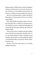 b102l10000527_ako-si-nakreslit-najlepsiu