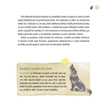 A101I0F0006911_houbaci-a-jine-lesni-byto