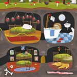 A101I0F0006911_houbaci-a-jine-lesni-byto