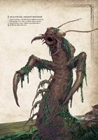 B102L10000680_Encyklopedie-Zaklinace-uka