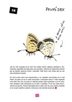 A101B0N0006301_Vulva-neni-vagíina_list5.