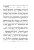 A101B0N0007420_Strasidelna-Sumava_list2.