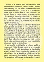 A101C0N0007237_kaja-a-bambulacek_list4.j