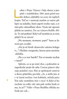 A101I0F0009562_smazak-od-papeze-frantisk