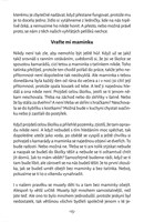 A101I0F0006931_skolakuv-pruvodce-skolou-