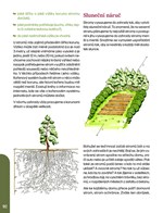 A101B0N0007318_Dzungloidni-zahrady_list1