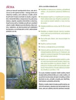 A101B0N0007318_Dzungloidni-zahrady_list4