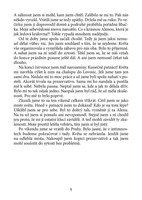 A101I0F0010234_zbytecne-trapeni-list2.jp