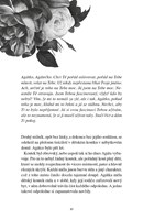 A101I0F0009765_narcis-a-pivonka-list1.jp