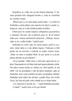 A101E0N0007595_Australsky-ovcak_list4.jp