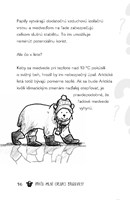 b102l10001058_preco-maju-chlapci-bradavk