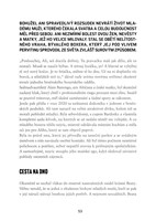 a101b0n0009271_skutecne-zlociny-brno-lis