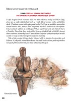 0009372887_KD0326 020.jpg