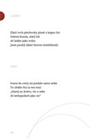 A101I0F0010084_24-bajtu-x-42-let-list4.j