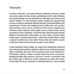 0093920688_Neskuteccna skutecnost_ukazka