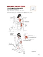 A101C0N0000962_joga-anatomie-3_list4.jpg