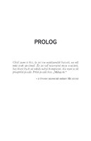 a10130F0002837_archandel-krvava-kridla-l