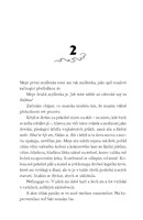 a10130F0004916_kam-se-ztraci-alice-sun-l