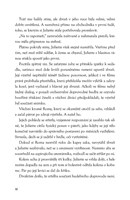 A10130F0005843_Nase-bourlive-konce-list2