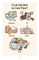 a10130F0005871_pusheen-kosisaty-navod-na