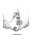 a101z0f0003429_kniha-kterou-posypal-hvez