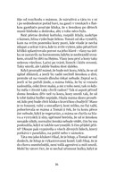 A101V0F0008158_Krajina-roztavenych-zvonu