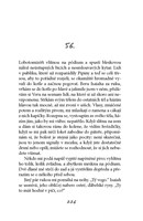 a10130F0000483_vis-ze-jsem-hrozna-list4.