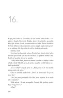 a10130F0001307_to-neni-muj-problem-list3