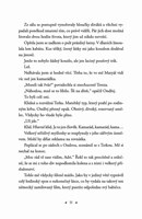 a10130f0001330_medovník-s-peprem-list-3.