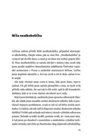 A10150F0005072_zapisnik-nealkoholicky-li